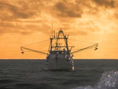 Mako 12 May 2024
