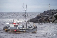 Moata 22 January 2024
