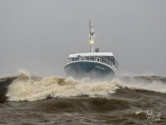 Ocean Odyssey 12 April 2024