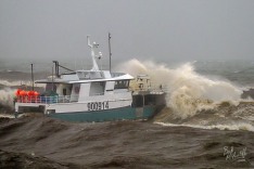 Ocean Odyssey, 23 August 2024