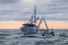 Resolution II, 28 September 2024