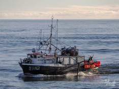 Te Tonga 13 May 2024