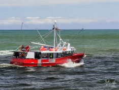 Brid Voyager, 1 January 2025