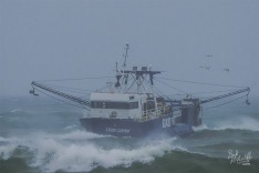 Cook Canyon, 28 August 2025