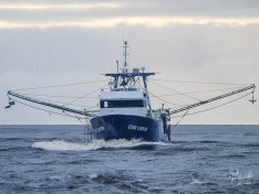 Cook Canyon ,6 April 2025