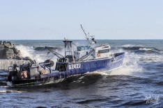 Cook Canyon, 19 May 2025