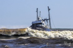 Cook Canyon, 19 March 2025