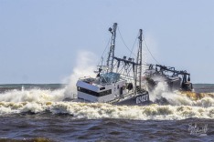 Cook Canyon, 19 March 2025