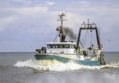 Galatea II, 2 August 2025