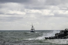 Jay Elaine, 17 May 2025