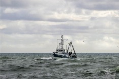 Jay Elaine, 17 May 2025