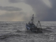 Jay Elaine, 1 June 2025