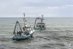 Jay Elaine Towed, 23 March 2025
