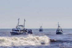 Jay Elaine Towed, 20 March 2025