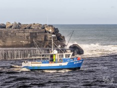 Ki-Lin 10 April, 2025