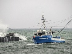 Ki-Lin, 17 March 2025