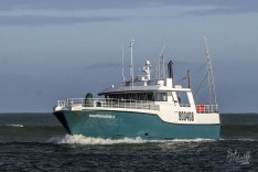 Moonshadow II, 28 April 2025