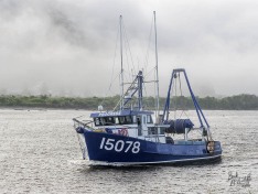 Progress, 10 April 2025