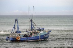 Progress, 31 March 2025