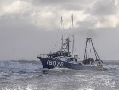 Progress, 3 May 2025