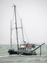 Quo Vadis, 17 March 2025