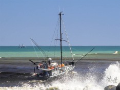 Quo Vadis, 20 March 2025