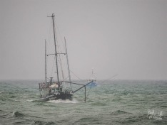 Quo Vadis, 17 March 2025