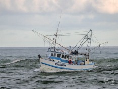 Stella Marie, 28 March 2025