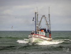 Tanea, 27 March 2025