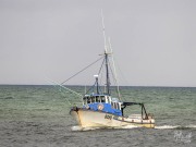 Annie, 25 February 2025