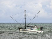 Giorgina, 16 March 2025