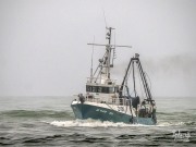 Jay Elaine, 5 February 2025