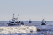 Jay Elaine Towed, 20 March 2025