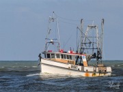 Magane, 26 February 2025