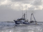 Progress, 3 May 2025