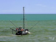 Quo Vadis, 6 January 2025