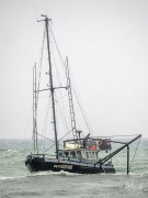 Quo Vadis, 17 March 2025