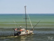 Quo Vadis, 6 March 2025