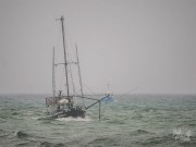 Quo Vadis, 17 March 2025