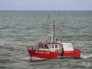 Rattle Me, 16 March 2025