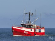 Sarda, 14 February 2025