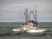 Tanea, 27 March 2025