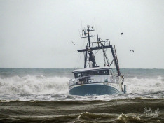Galatea II, 5 September 2026
