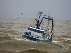 Galatea II, 26 August 2026