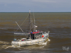 Harvester, 13 January 2026
