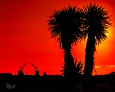 Greymouth Silhouette