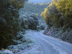 Frosty Road