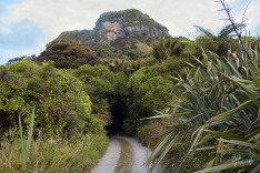Road at Punakaiki