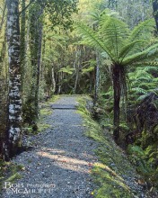 Ross Walkway