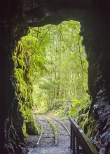 Tunnel at Charming Cree